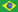 Brazilian Flag